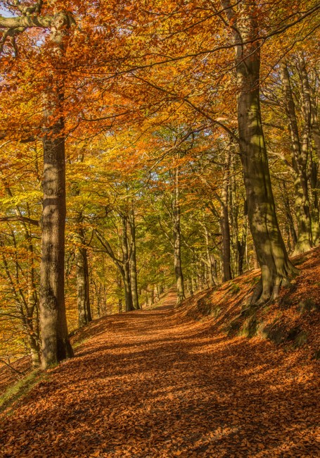 4d42bf4e5c794d828e139d0a8a0e86db