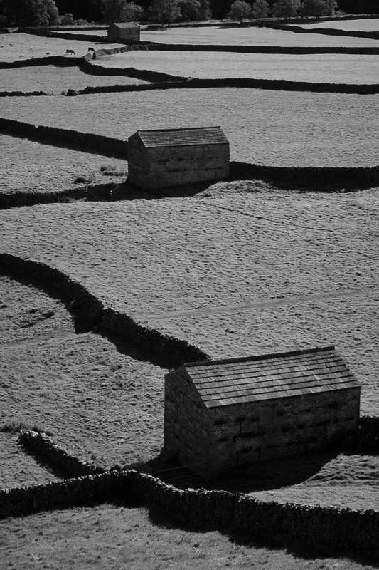 Barns in the Dales by Nigel Davey